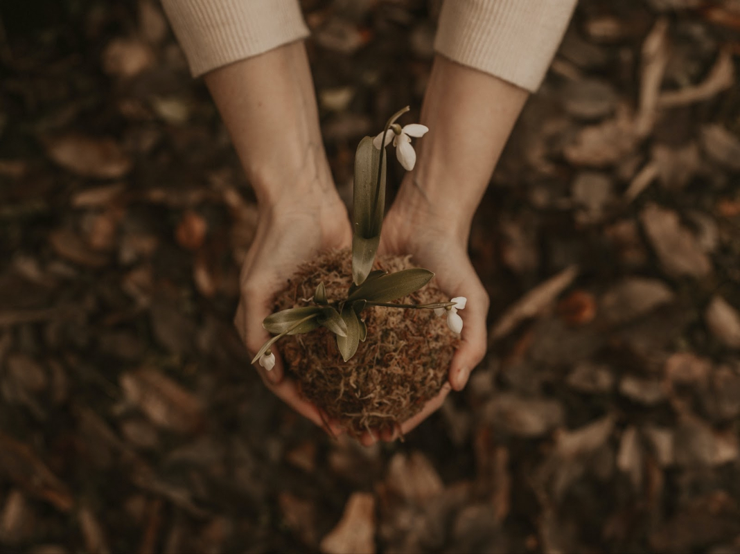 hands_and_flower_pic